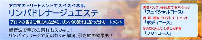 �����p�h���i�[�W���G�X�e