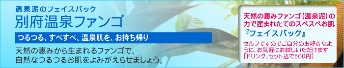 ����D�̃t�F�C�X�p�b�N�@�w�ʕ{����t�@���S�x