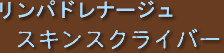 �����p�h���i�[�W���@�X�L���X�N���C�o�[