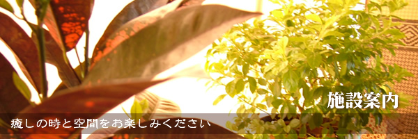 C摜