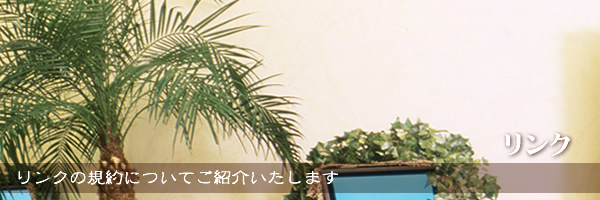 C摜