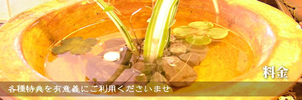 C摜